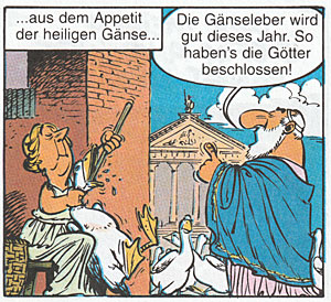 Appetit der Gänse