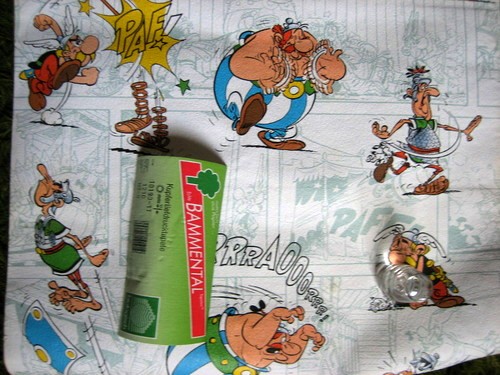 Bammental-Tapete (Abb. 2).jpg